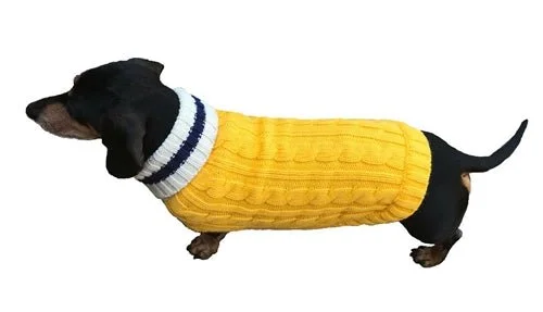 Preppy Puppy Collection in Yellow